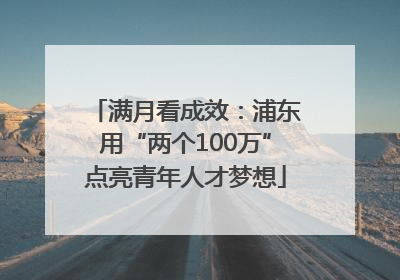 满月看成效：浦东用“两个100万”点亮青年人才梦想