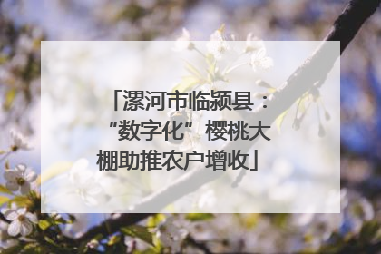 漯河市临颍县：“数字化”樱桃大棚助推农户增收