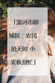 漯河市郾城区：农民抢天时 小麦收割忙