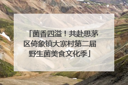 菌香四溢！共赴思茅区倚象镇大寨村第二届野生菌美食文化季