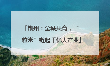 荆州：全城共育，“一粒米”链起千亿大产业