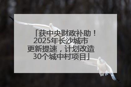 获中央财政补助！2025年长沙城市更新提速，计划改造30个城中村项目
