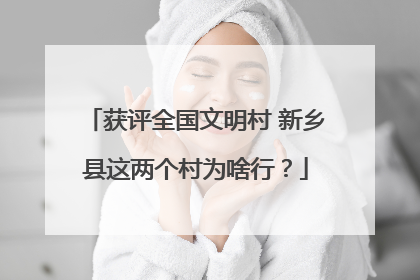 获评全国文明村 新乡县这两个村为啥行？