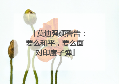 莫迪强硬警告：要么和平，要么面对印度子弹