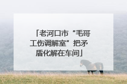 老河口市“毛哥工伤调解室”把矛盾化解在车间