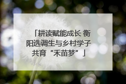 耕读赋能成长 衡阳选调生与乡村学子共育“禾苗梦”