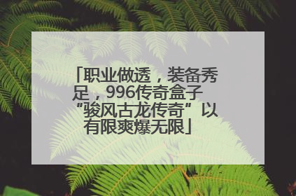 职业做透，装备秀足，996传奇盒子“骏风古龙传奇”以有限爽爆无限