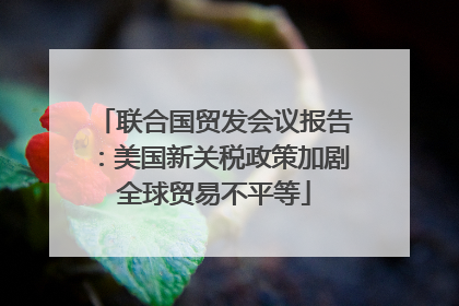 联合国贸发会议报告：美国新关税政策加剧全球贸易不平等