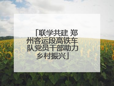 联学共建 郑州客运段高铁车队党员干部助力乡村振兴