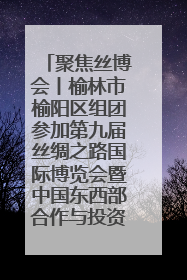 聚焦丝博会丨榆林市榆阳区组团参加第九届丝绸之路国际博览会暨中国东西部合作与投资贸易洽谈会