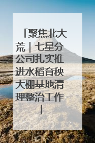 聚焦北大荒｜七星分公司扎实推进水稻育秧大棚基地清理整治工作