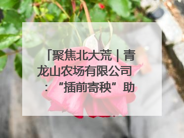 聚焦北大荒｜青龙山农场有限公司：“插前寄秧”助力农业节本增效