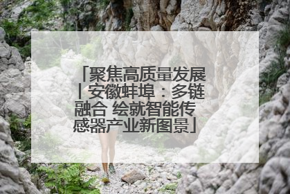 聚焦高质量发展丨安徽蚌埠：多链融合 绘就智能传感器产业新图景