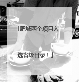 肥城两个项目入选省级目录！