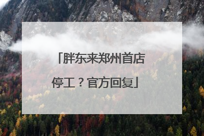 胖东来郑州首店停工？官方回复