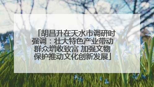 胡昌升在天水市调研时强调：壮大特色产业带动群众增收致富 加强文物保护推动文化创新发展