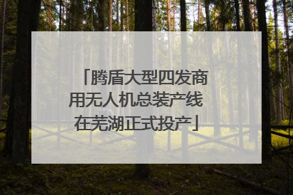 腾盾大型四发商用无人机总装产线在芜湖正式投产