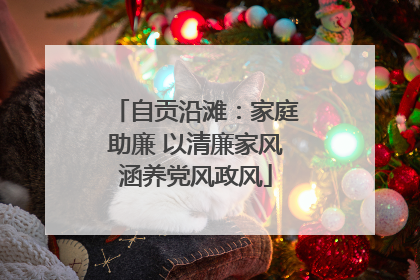 自贡沿滩：家庭助廉 以清廉家风涵养党风政风