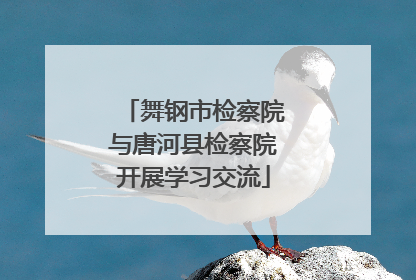 舞钢市检察院与唐河县检察院开展学习交流