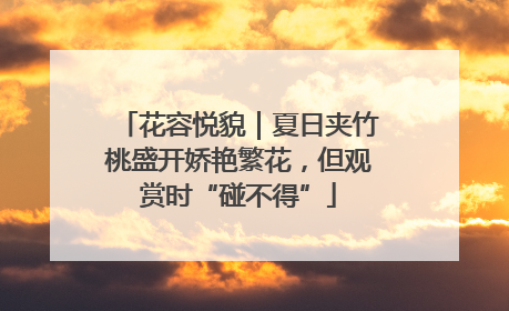 花容悦貌｜夏日夹竹桃盛开娇艳繁花，但观赏时“碰不得”