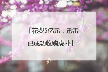 花费5亿元，迅雷已成功收购虎扑
