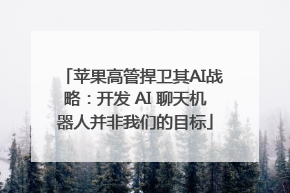 苹果高管捍卫其AI战略：开发 AI 聊天机器人并非我们的目标