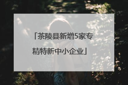 茶陵县新增5家专精特新中小企业