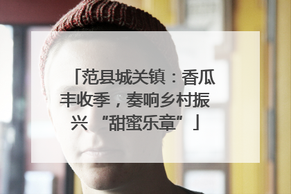范县城关镇：香瓜丰收季，奏响乡村振兴 “甜蜜乐章”