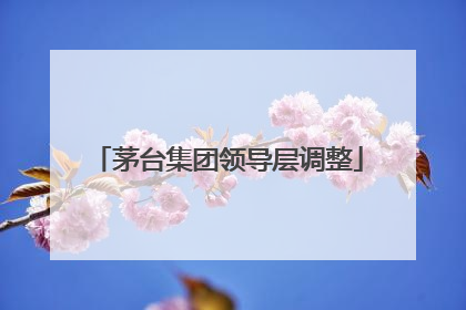 茅台集团领导层调整