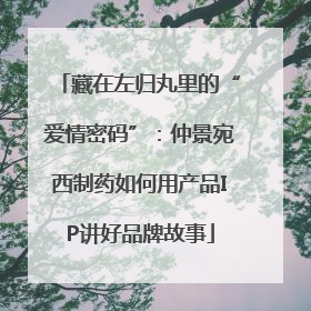 藏在左归丸里的“爱情密码”：仲景宛西制药如何用产品IP讲好品牌故事
