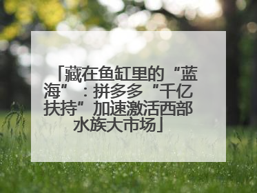 藏在鱼缸里的“蓝海”：拼多多“千亿扶持”加速激活西部水族大市场