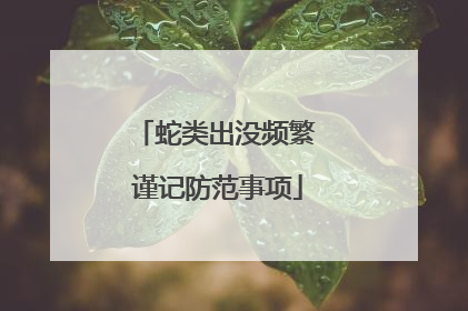 蛇类出没频繁 谨记防范事项