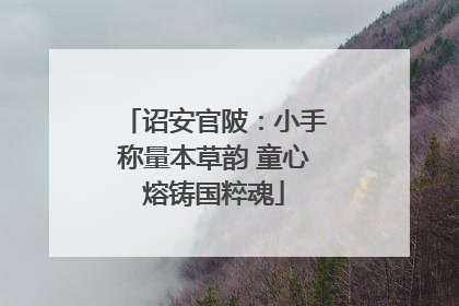 诏安官陂：小手称量本草韵 童心熔铸国粹魂