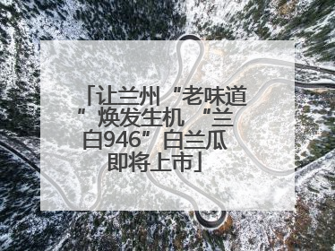 让兰州“老味道”焕发生机 “兰白946”白兰瓜即将上市