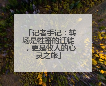 记者手记：转场是牲畜的迁徙，更是牧人的心灵之旅