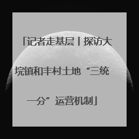 记者走基层丨探访大垸镇和丰村土地“三统一分”运营机制