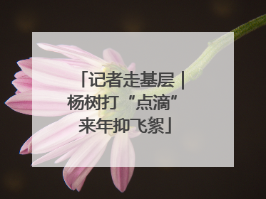 记者走基层｜杨树打“点滴” 来年抑飞絮