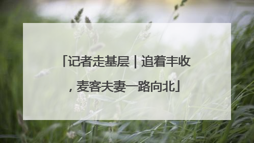 记者走基层｜追着丰收，麦客夫妻一路向北