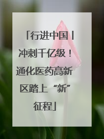 行进中国丨冲刺千亿级！通化医药高新区踏上“新”征程