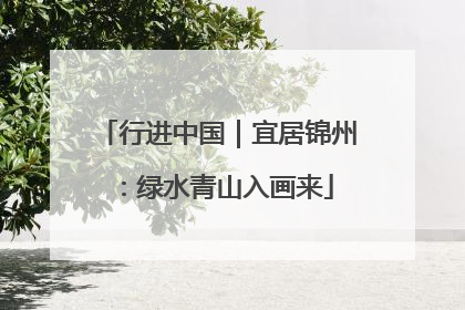 行进中国｜宜居锦州：绿水青山入画来