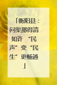 衡阳县：问渠那得清如许 “民声”变“民生”更畅通