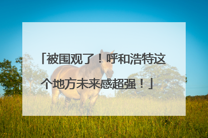 被围观了！呼和浩特这个地方未来感超强！