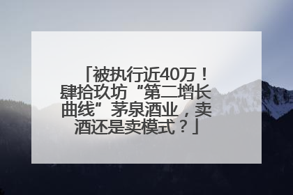 被执行近40万！肆拾玖坊“第二增长曲线”茅泉酒业，卖酒还是卖模式？