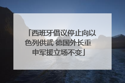 西班牙倡议停止向以色列供武 德国外长重申军援立场不变