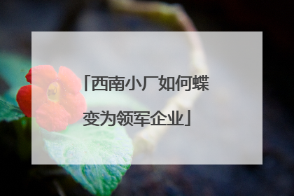 西南小厂如何蝶变为领军企业