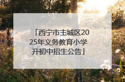 西宁市主城区2025年义务教育小学升初中招生公告