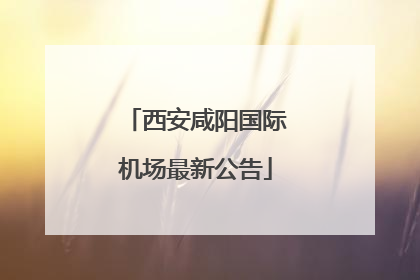 西安咸阳国际机场最新公告