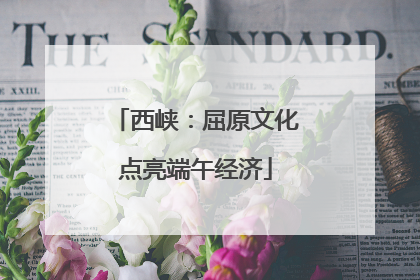 西峡：屈原文化点亮端午经济