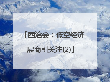 西洽会：低空经济展商引关注(2)