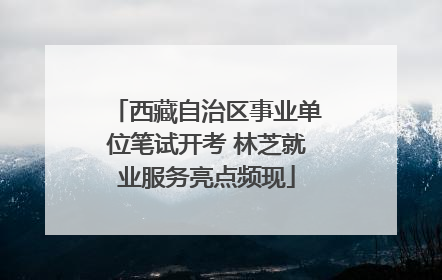 西藏自治区事业单位笔试开考 林芝就业服务亮点频现